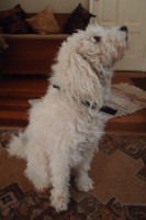 /album/bildgalleri/newyear2-jpg/