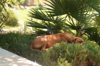 /album/bildgalleri/p1121588-jpg/