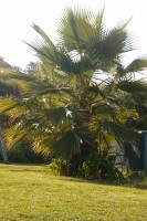 /album/bildgalleri/p1121598-jpg/