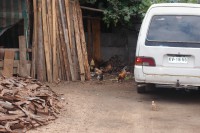 /album/bildgalleri/p1131639-jpg/