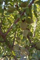 /album/bildgalleri/p1131656-jpg/