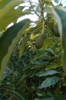 /album/bildgalleri/p1131657-jpg/