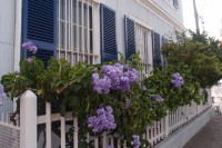 /album/bildgalleri/p1261762-jpg/