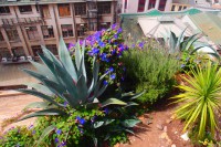 /album/bildgalleri/p1261766-jpg/