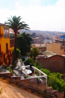 /album/bildgalleri/p1261767-jpg/