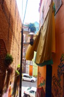 /album/bildgalleri/p1261783-jpg/