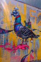 /album/bildgalleri/p1261787-jpg/