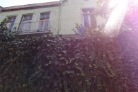 /album/bildgalleri/p1261794-jpg/