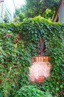 /album/bildgalleri/p1261795-jpg/