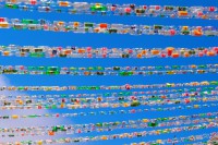 /album/bildgalleri/p1261797-jpg/