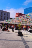 /album/bildgalleri/p1261798-jpg/