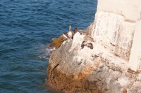 /album/bildgalleri/p1261806-jpg/