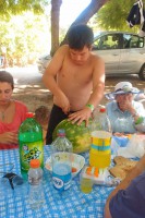 /album/bildgalleri/p2241943-jpg/