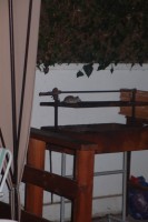 /album/bildgalleri/p2101930-jpg/