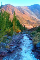 /album/bildgalleri/p3232050-jpg/