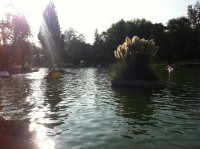 /album/bildgalleri/img-0545-jpg/