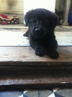 /album/bildgalleri/img-0647-jpg/