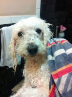 /album/bildgalleri/img-0651-jpg/