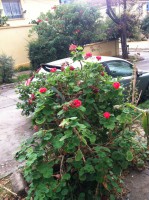 /album/bildgalleri/img-0667-jpg/