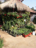 /album/bildgalleri/img-0719-jpg/