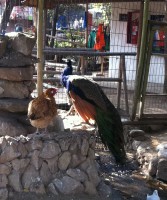 /album/bildgalleri/img-0720-jpg/