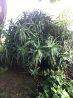 /album/bildgalleri/img-0727-jpg/