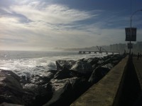 /album/bildgalleri/img-0765-jpg/