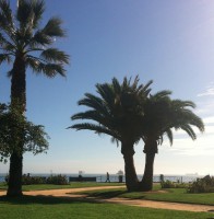 /album/bildgalleri/img-0766-jpg/