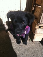 /album/bildgalleri/img-0769-jpg/