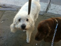 /album/bildgalleri/img-0783-jpg/